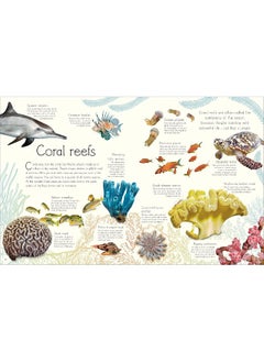 An Anthology of Aquatic Life  - Image 4