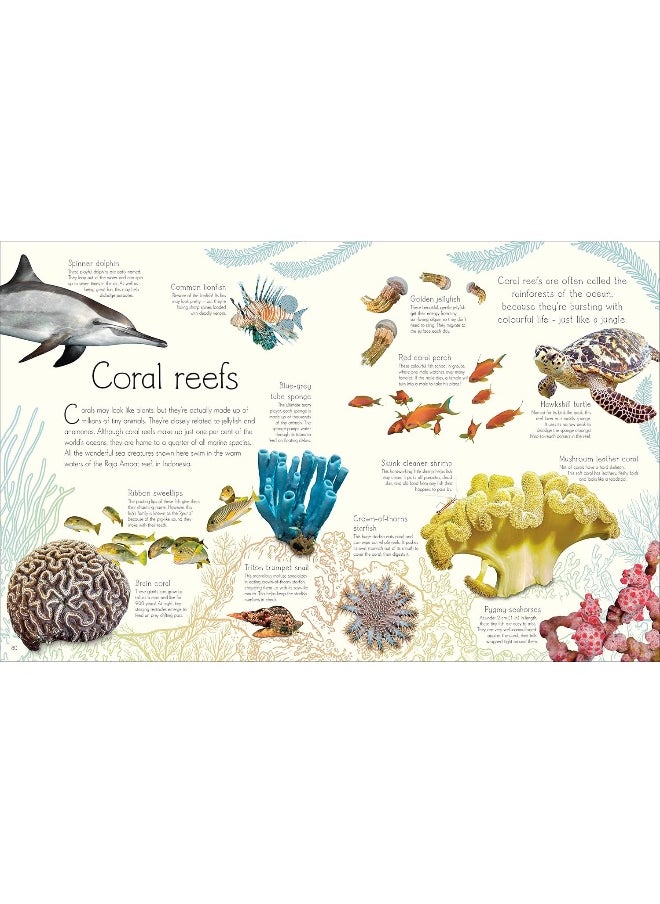 null - An Anthology of Aquatic Life - Image 1
