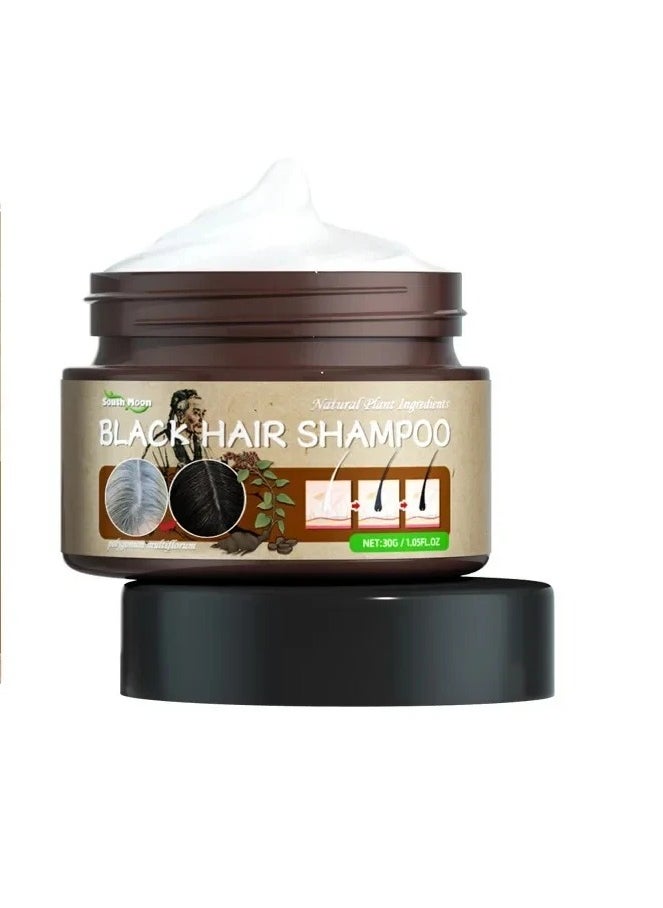 SOUTH MOON - Anti-Grey Hair Essence Serum Treatment to Restore Natural Hair Color and Healthy Herbal Essence for White to Black Hair - Image 1