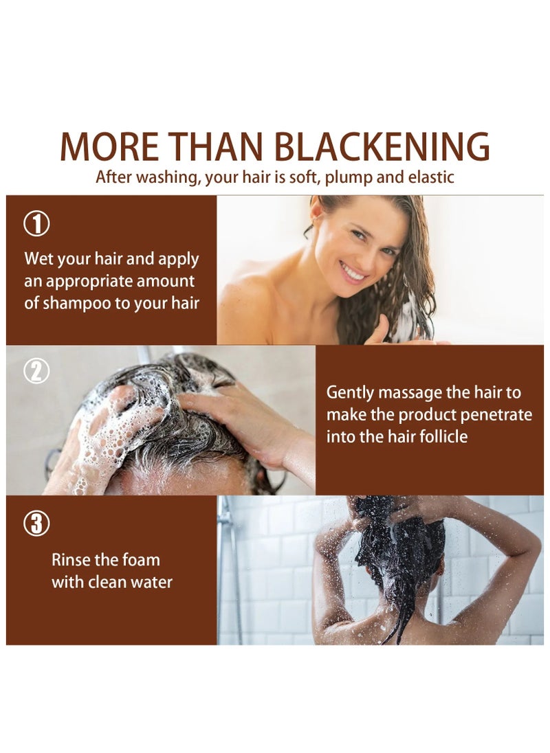 SOUTH MOON - Anti-Grey Hair Essence Serum Treatment to Restore Natural Hair Color and Healthy Herbal Essence for White to Black Hair - Image 1
