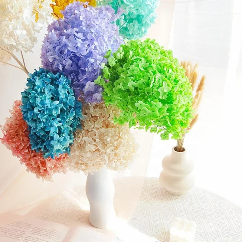 Bluejw Hot Preserved Dried Hydrangea Flowers – Bulky Anna Hydrangea Dried Plants for Wedding Decorations, Pagoda Style Long-Lasting Natural Dried Flower Arrangements - Image 3