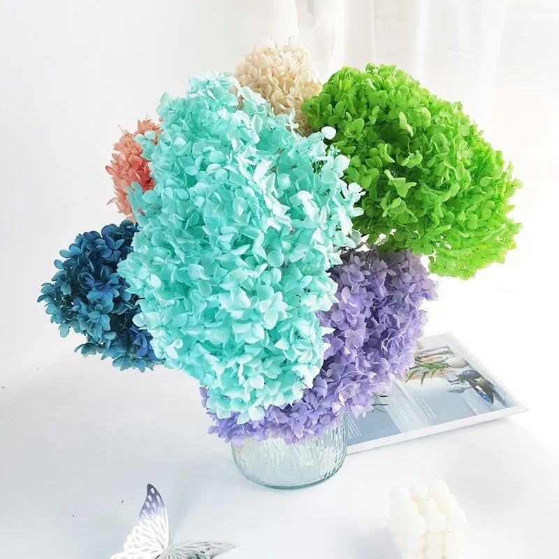 Bluejw Hot Preserved Dried Hydrangea Flowers – Bulky Anna Hydrangea Dried Plants for Wedding Decorations, Pagoda Style Long-Lasting Natural Dried Flower Arrangements - Image 2