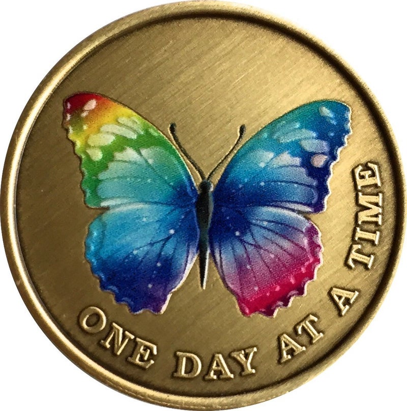 RecoveryChip Color Rainbow Butterfly One Day at A Time Medallion Serenity Prayer Bronze Chip - Image 1