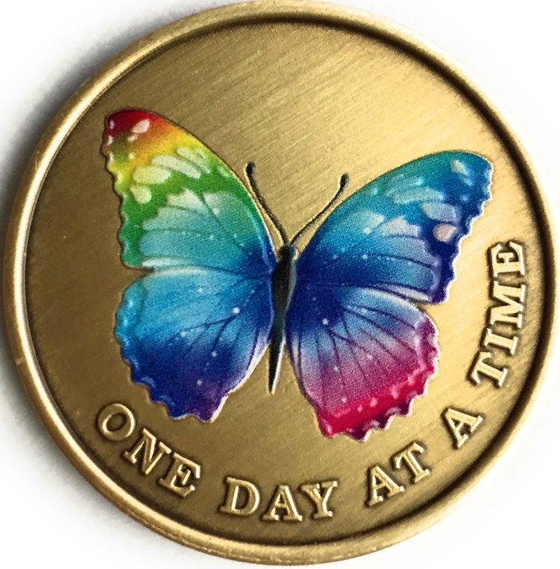 RecoveryChip Color Rainbow Butterfly One Day at A Time Medallion Serenity Prayer Bronze Chip - Image 3