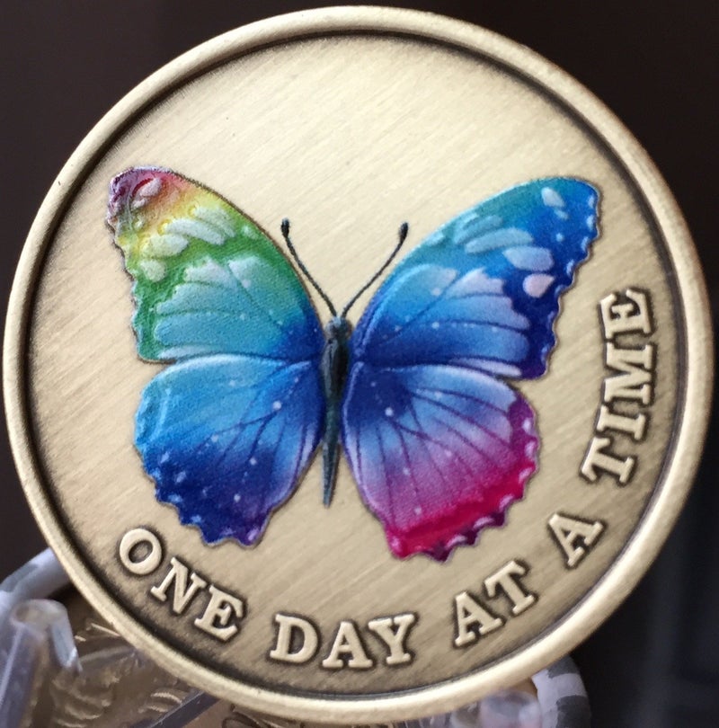 RecoveryChip Color Rainbow Butterfly One Day at A Time Medallion Serenity Prayer Bronze Chip - Image 5