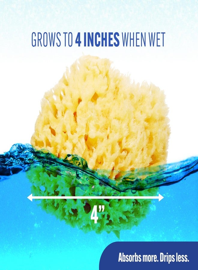 Baby Buddy Natural Wool Sea Sponge, Newborn Bath Time Essential, Ultra Soft for Delicate Skin, Hypoallergenic and Biodegradable, 4 Pack - Image 4