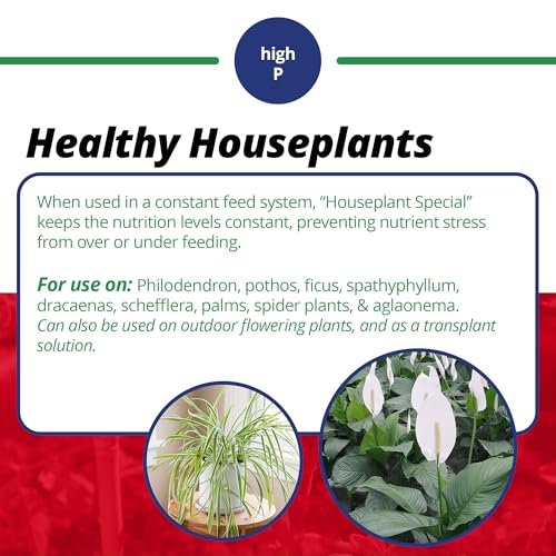 Jacks Classic Jack's Classic 15-30-15 Houseplant Special Water-Soluble Fertilizer with Micronutrients to Green-Up and Increase Blooms in Houseplants, 8oz - Image 4