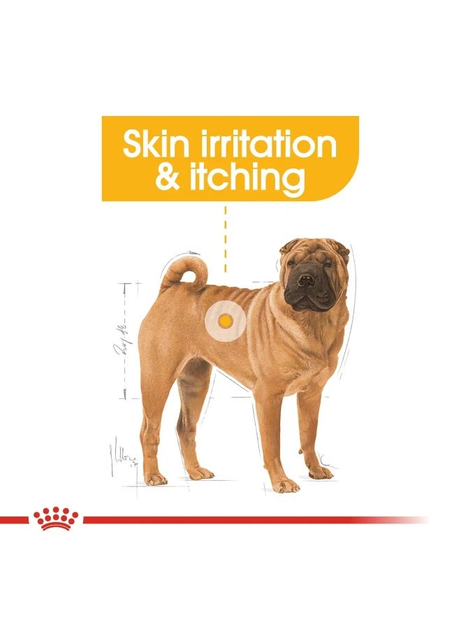 Royal Canin Canine Care Nutrition Medium Dermacomfort Dry Food Bag 3 Kg - Image 2