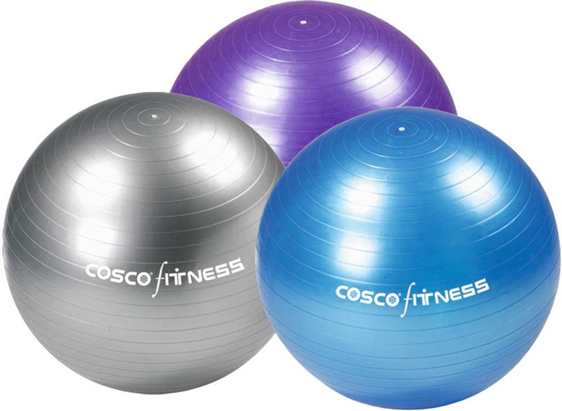 Cosco 75cm Gym Ball - Image 1
