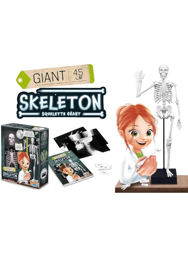 BUKI Giant Skeleton Kit (45 cm)  - Image 5
