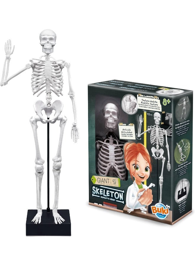 BUKI Giant Skeleton Kit (45 cm)  - Image 2