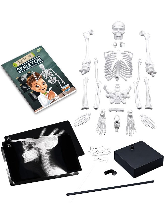BUKI Giant Skeleton Kit (45 cm)  - Image 3