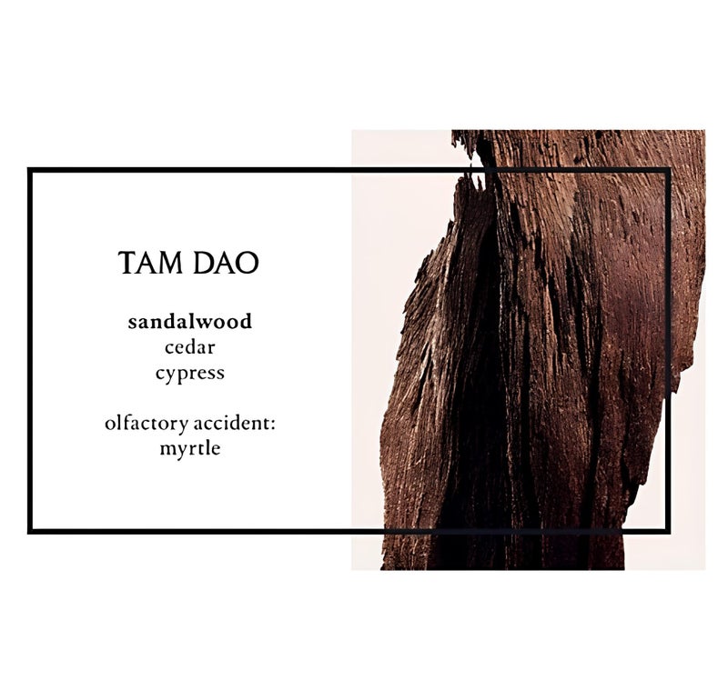 Diptyque Tam Dao Eau de Toilette-3.4 oz. (Model: 3700431405852) - Image 5