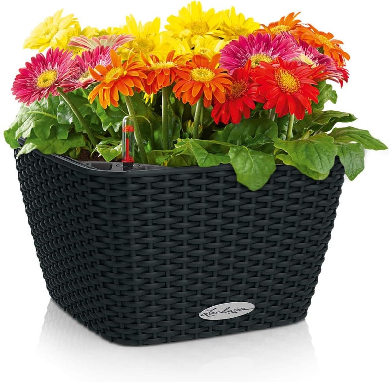 Lechuza BACINO Cottage graphite black 15468 - Image 2