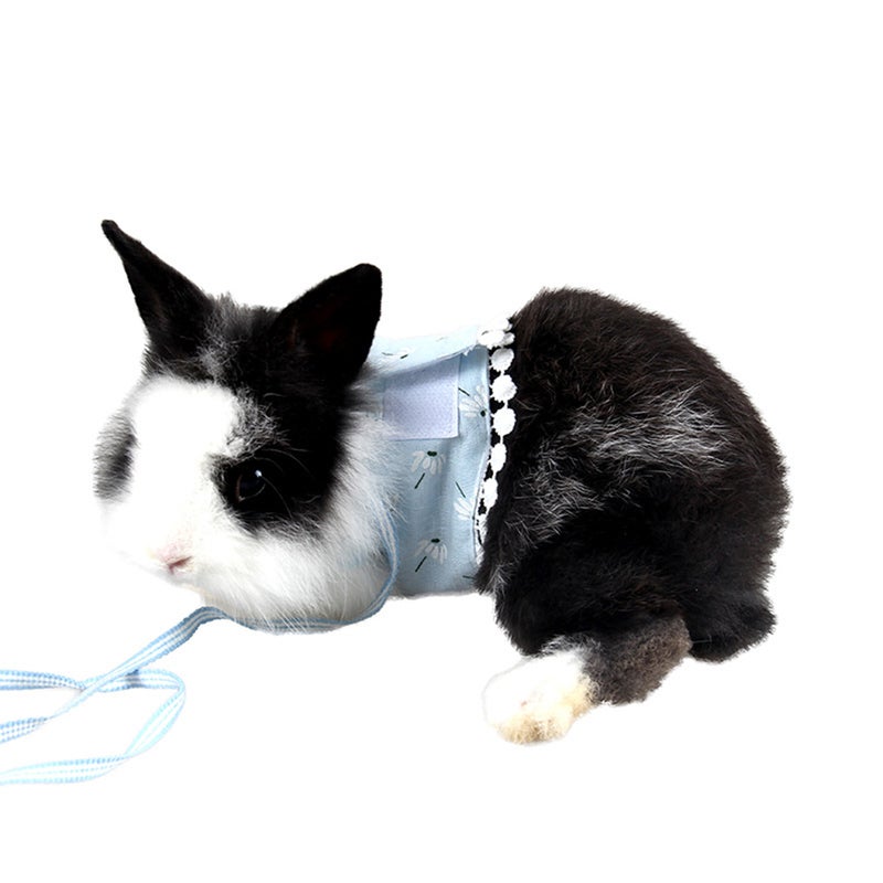 Pet Clothes Traction Rope Small Pet Chest Pet Supplies - - Image 1