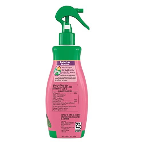 Miracle-Gro Ready to Use Orchid Plant Food Mist, Feeds All Types of Indoor Orchid Plants, 8 oz. - Image 2