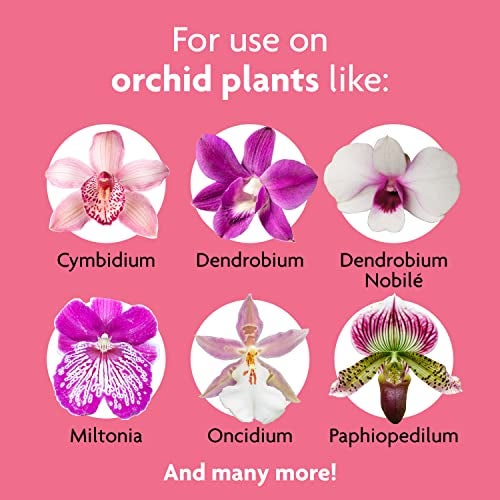 Miracle-Gro Ready to Use Orchid Plant Food Mist, Feeds All Types of Indoor Orchid Plants, 8 oz. - Image 5