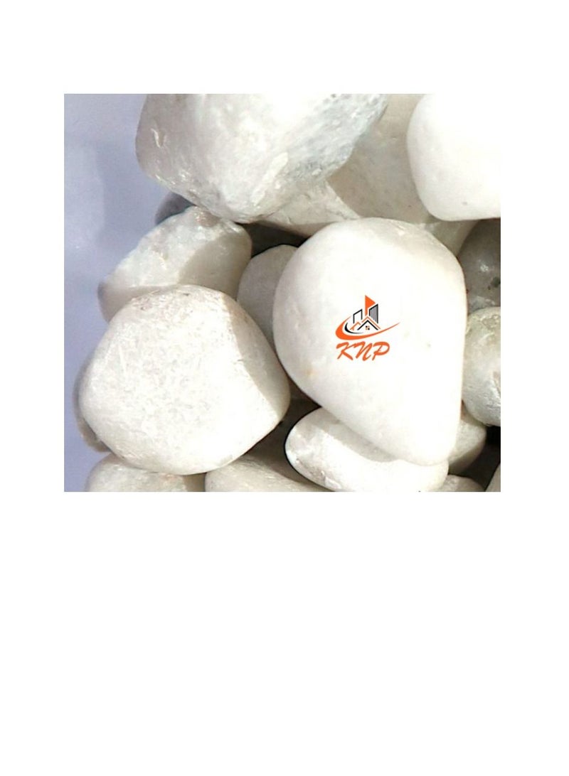 كنب حوض الحصى المطلي باللون الأبيض - Image 1