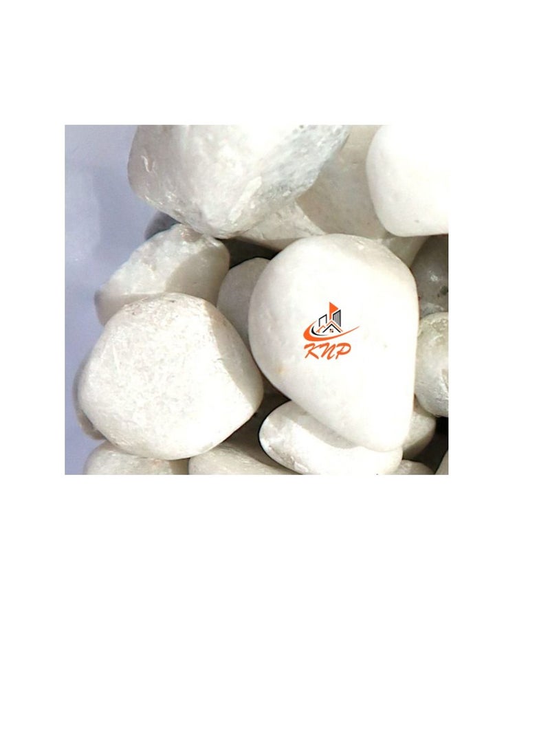 كنب حوض الحصى المطلي باللون الأبيض - Image 2