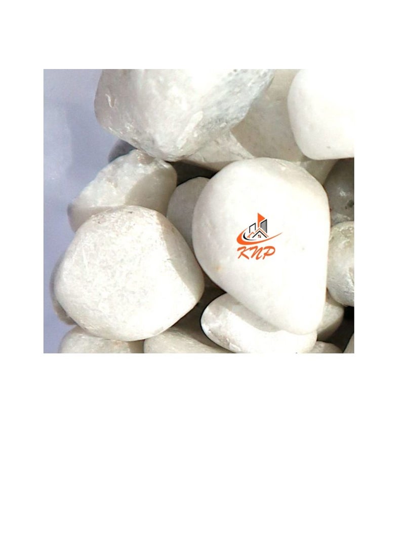 كنب حوض الحصى المطلي باللون الأبيض - Image 3