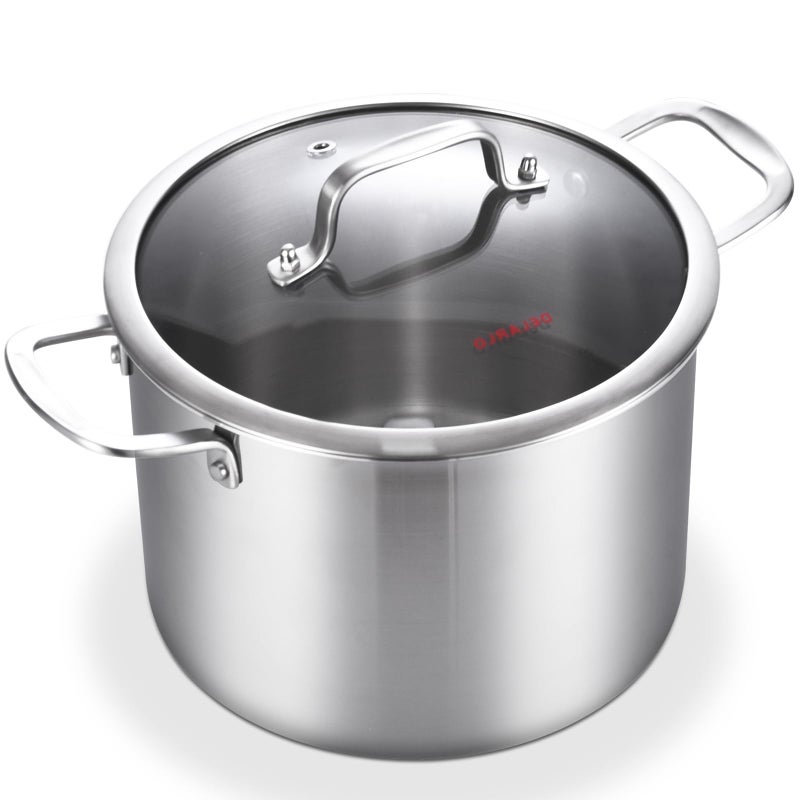 DELARLO TriPly Stainless Steel 6QT Pot with Lid Induction Ready 6 Quart with Lid Durable Noodle Pot 1810 Heavy Duty for Cooking Suit for All Stove Up to 600Lids 300