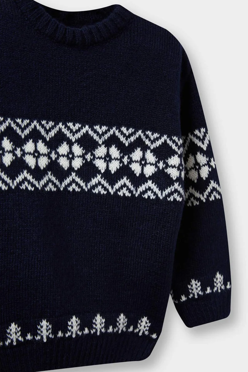 Defacto Baby Boy Crew Neck Patterned Knit Pullover