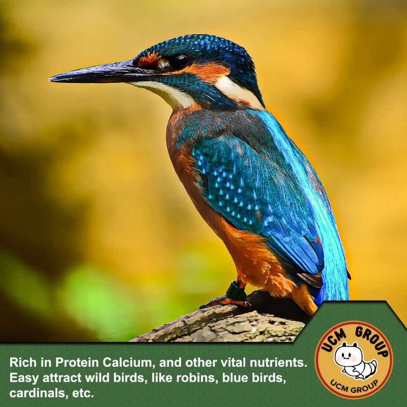 UCM Group 10LB Dried Mealworms for Wild Birds, Chickens, High Protein Organic Chicken Feed, 100% Non-GMO for Chickens, Ducks, Turtles and Reptiles - Image 4