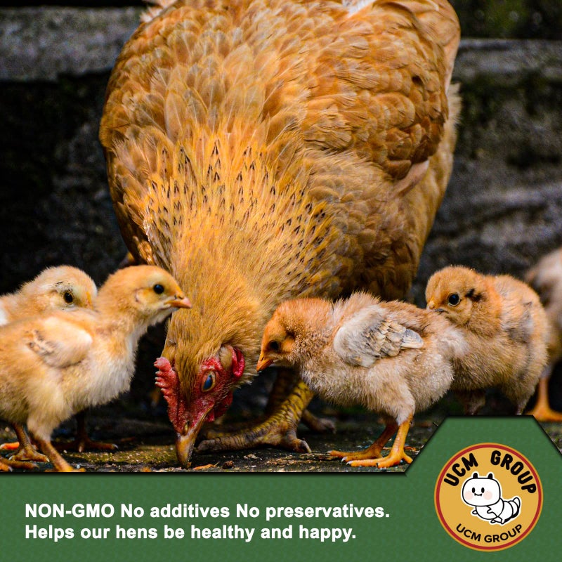 UCM Group 10LB Dried Mealworms for Wild Birds, Chickens, High Protein Organic Chicken Feed, 100% Non-GMO for Chickens, Ducks, Turtles and Reptiles - Image 2