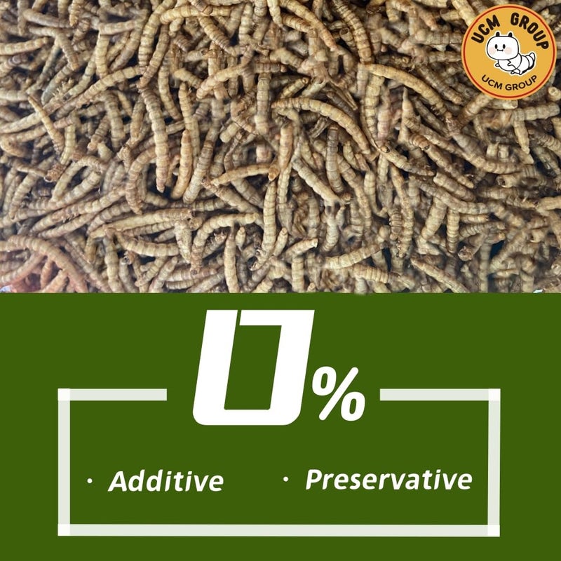 UCM Group 10LB Dried Mealworms for Wild Birds, Chickens, High Protein Organic Chicken Feed, 100% Non-GMO for Chickens, Ducks, Turtles and Reptiles - Image 1