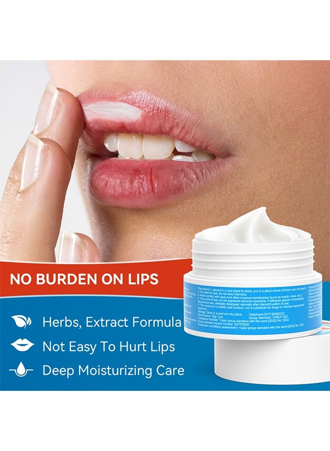 سوميفون مرهم التهاب الشفة ، مرطب شفاهي للشفاه شديدة التشقق ، مكونات طبيعية للتبريد الفوري وتخفيف الآلام ، إزالة الجلد الميت / تلاشي خطوط الشفاه / تحسين لون الشفاه 30 جم - Image 3