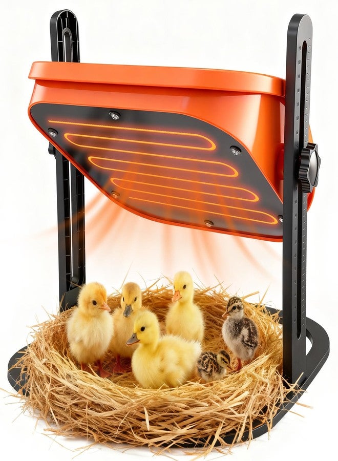 【صينية حضانة ساكر نيو مقاس 10 بوصات × 10 بوصات】 مزودة بقدرة 50 واط مطورة مع 3 مستويات لدرجة الحرارة، وارتفاع وزاوية قابلين للتعديل، وكابلات بطول 6.7 قدم، تتسع لـ 10-15 فرخًا من البط والإوز والسمان - Image 1