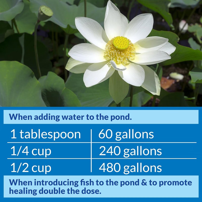 API POND STRESS COAT Pond Water Conditioner - 32 Ounce Bottle for Fish Health - Image 5