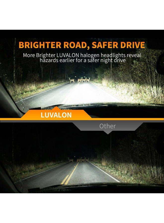 LUVALON H11 Headlight Bulbs Halogen Headlight Bulbs for High Beam Low Beam and Fog Light Replacement 12V 55W 5000K 2 Pack - Image 5