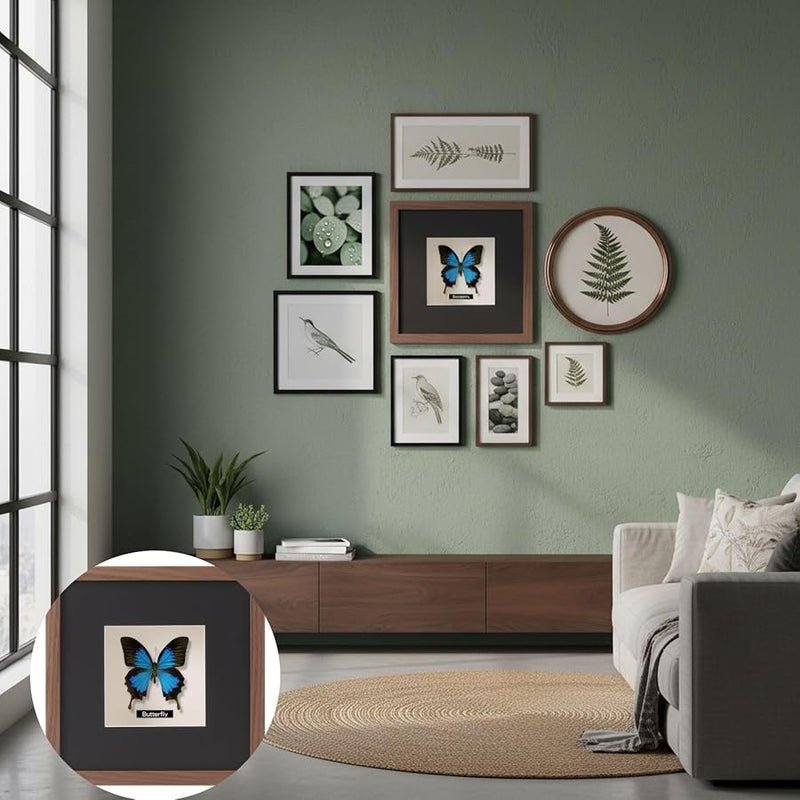 حالة عرض خشبية بلون الجوز للفراشات 7 99 × 10 بوصة مع حصيرة لهواة الجمع - Image 3