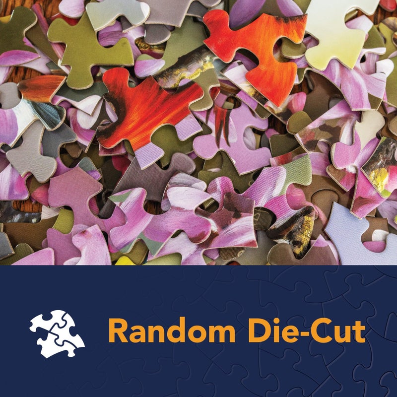 بيتس آند بيسيز قطع وقطع - 500 قطعة بانورامزو للألغاز للبالغين - Drive Inn - ألغاز Americana Classic Jigsaw للفنان Kay Lamb Shannon أكمل حجم اللغز: 18 "× 24" - Image 5