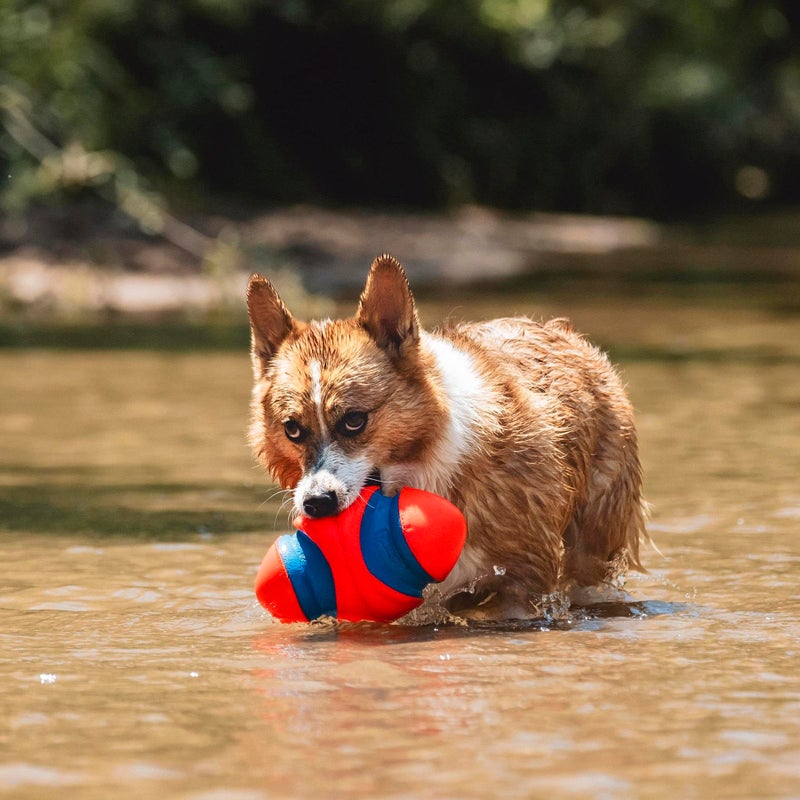 Chuckit! Fumble Fetch Dog Football - Outdoor and Indoor Interactive Dog Toy with Grooved Design for Easy Pickup - Made from Durable Rubber - Floats in Water - Small - Orange and Blue - Image 5