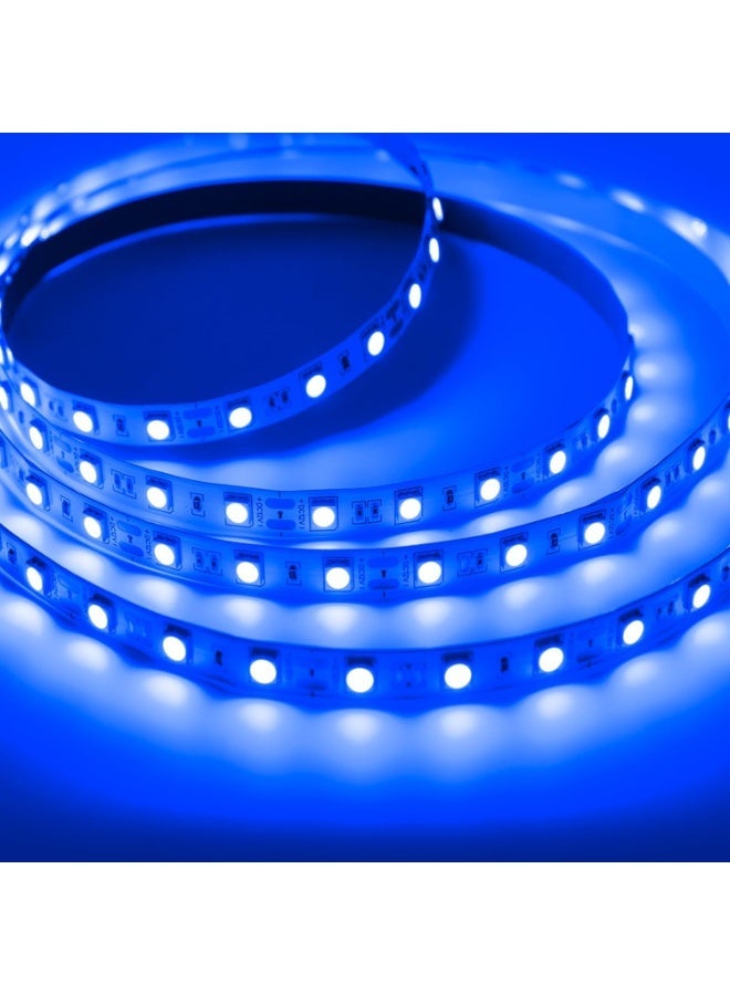 شريط إضاءة LED أزرق 5050، 12 فولت - 8 مم | فائق السطوع، 60 مصباح LED/متر | مرن وقابل للقص | لفة بطول 5 أمتار (بدون وحدة تشغيل LED) - Image 1