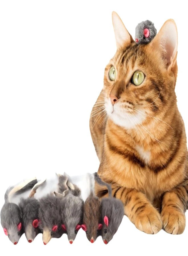 Pluzmecalm 6Pcs Gray Fur Rattle Mouse Cat Toy Mice Animal Toy Pet Supplies Furry Play Combo Cat Toy Mix - Image 1