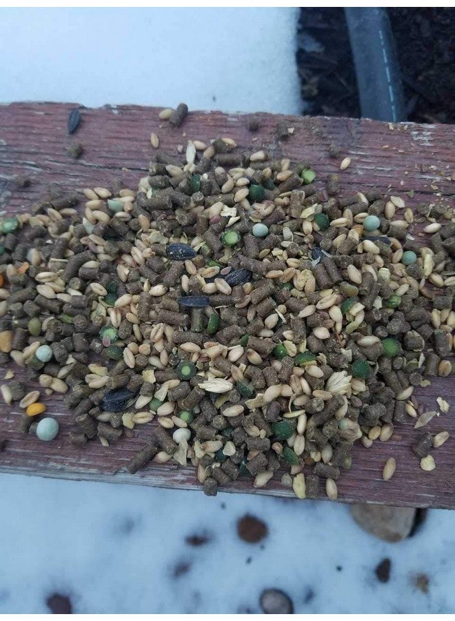 سمول بيت سليكت علف دجاج بيطري من سمول بيت سيليكت، غير معدل وراثيًا، خالٍ من الذرة والصويا، 18% بروتين، 10 أرطال - Image 3