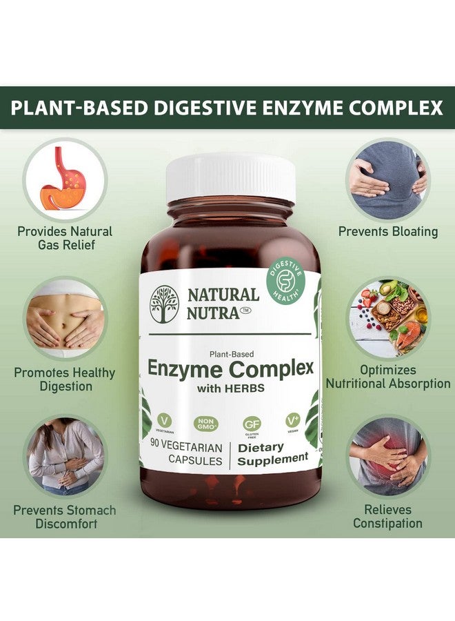 Natural Nutra Plant Based Digestive Enzyme Complex With Herbs Prevents Stomach Bloating Amylase Bromelain Lipase Protease Lactase 90 Vegan Capsules - Image 3