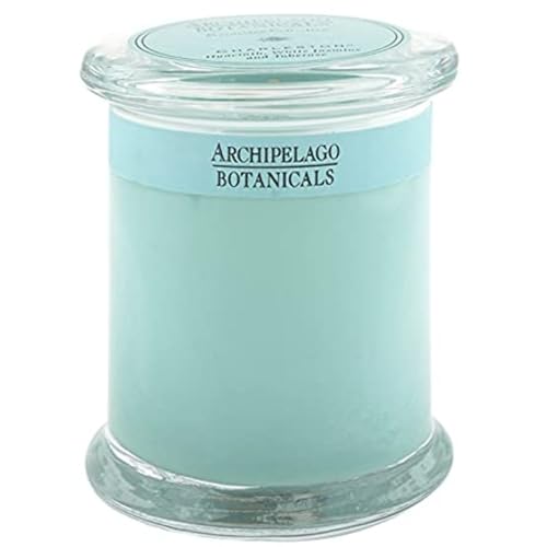Archipelago Botanicals شمعة زجاجية من أرخبيل النباتات تشارلستون، برائحة الياسمين، التوليب والهياسنت، فتائل خالية من الرصاص، تحترق لمدة تقارب 60 ساعة (8.6 أونصة) - Image 1
