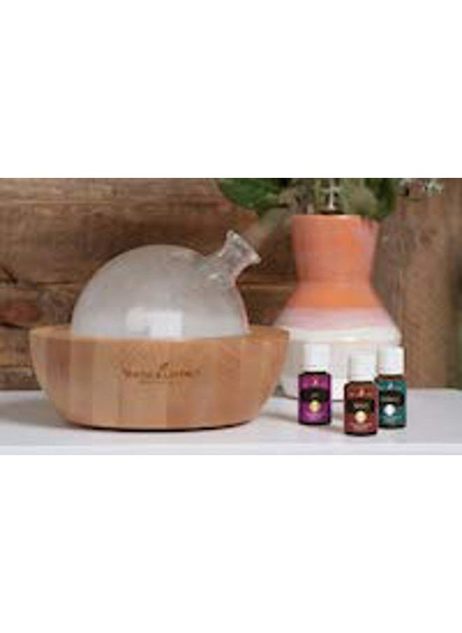 Young Living Rosemary Essential Oil by Young Living, 15 Milliliters, Topical and Aromatic  - Image 4