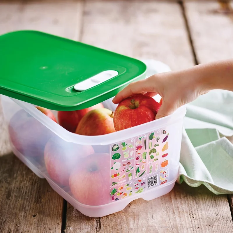 Tupperware Sera Series 4.4 L and 1.8 L 2-Piece Green Container