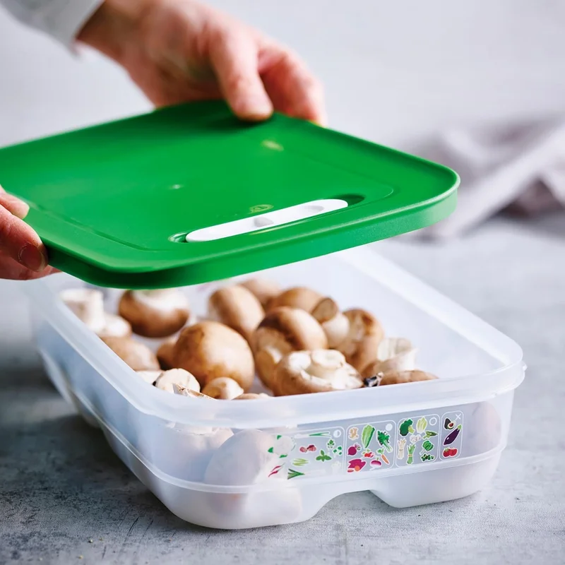 Tupperware Sera Series 4.4 L and 1.8 L 2-Piece Green Container