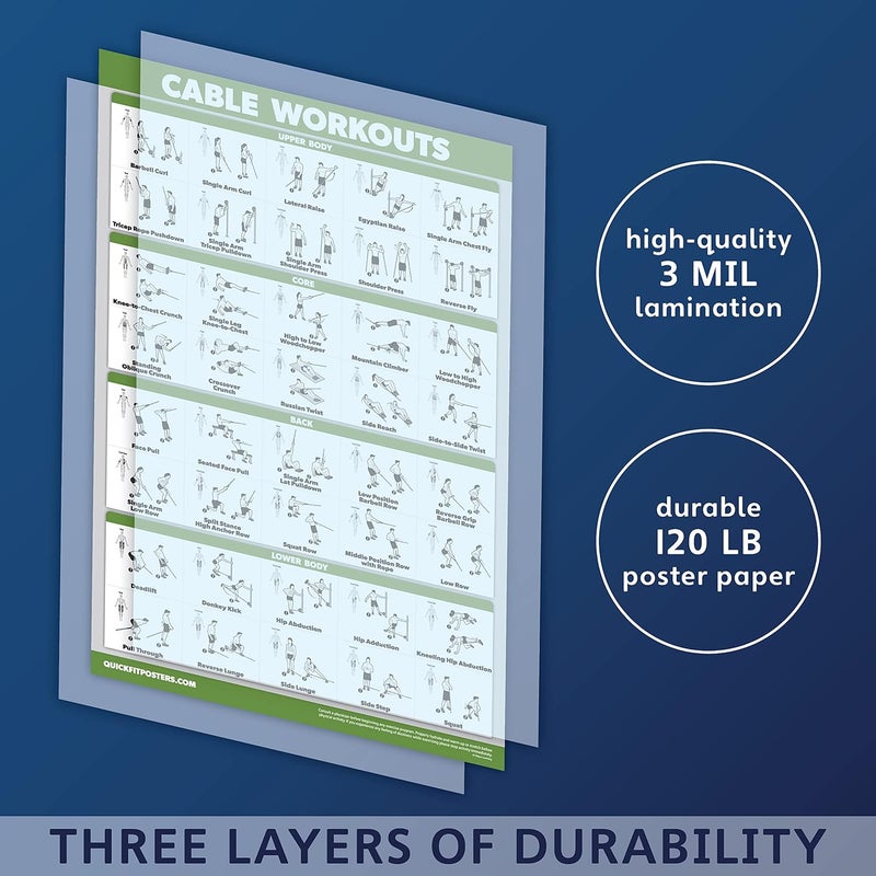 Palace Learning ملصق تمارين QUICKFIT لجهاز الكابل، مخطط تمارين لمحطة تدريب الكابل، مغلف، صالة رياضية، 18" × 24" - Image 2