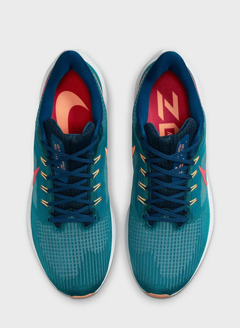 Nike Air Zoom Pegasus 39
