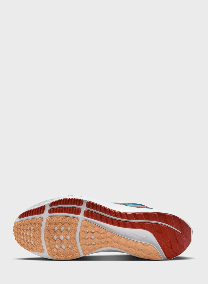 Nike Air Zoom Pegasus 39