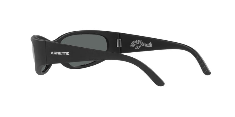 ARNETTE Sunglasses AN 4302 275881 Catfish Matte Black Dark Grey - Image 5