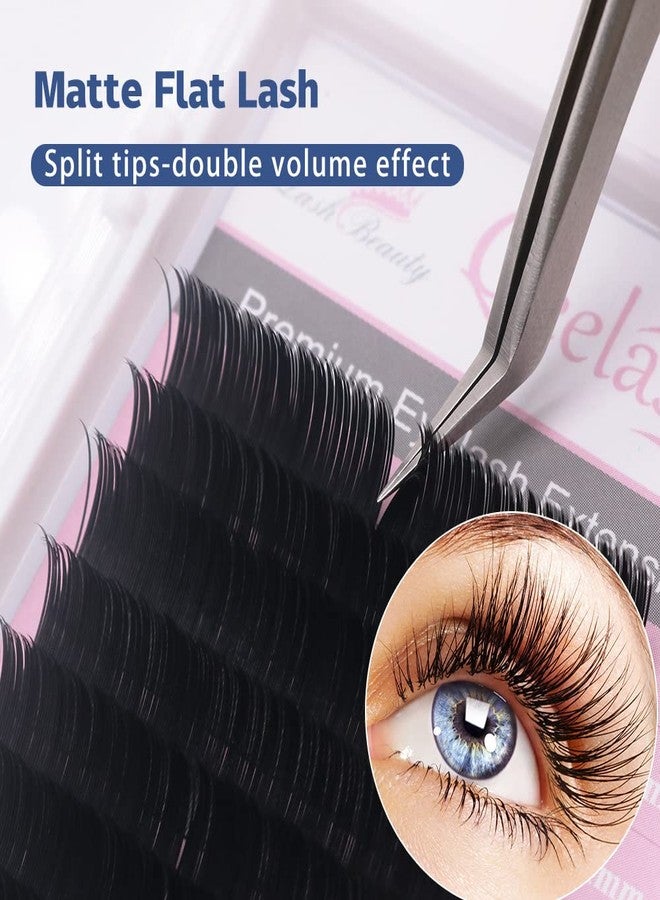 Qeelasee Ellipse Eyelash Extension 0.20mm C Curl 13mm Flat Individual Eyelashes False Lashes Mink Lashes Extensions - Image 2