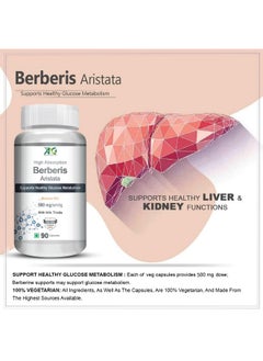 ANC Berberis Berberine 95% With Milk Thistle Vegetable 90 Capsules  - Image 2